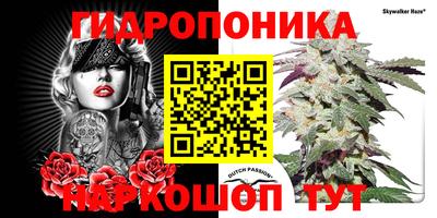 стаф Анжеро-Судженск