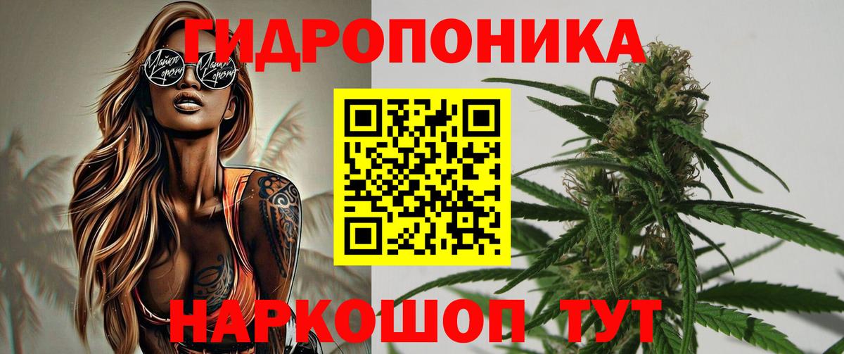 Бошки Шишки семена Брянск